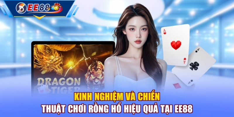 Kinh nghiệm và chiến thuật chơi Rồng Hổ hiệu quả tại EE88