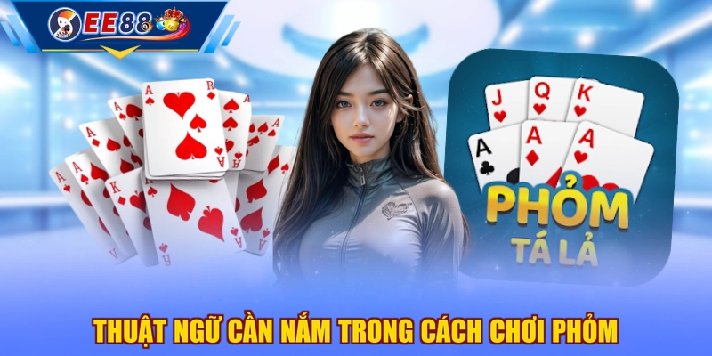 Thuật ngữ cần nắm trong cách chơi Phỏm