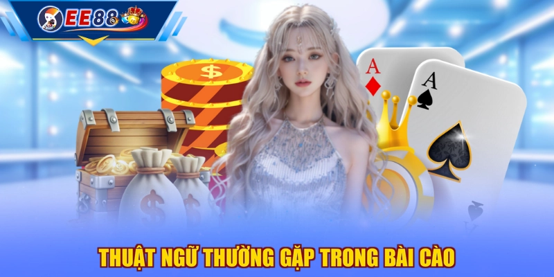 Thuật ngữ thường gặp trong bài Cào